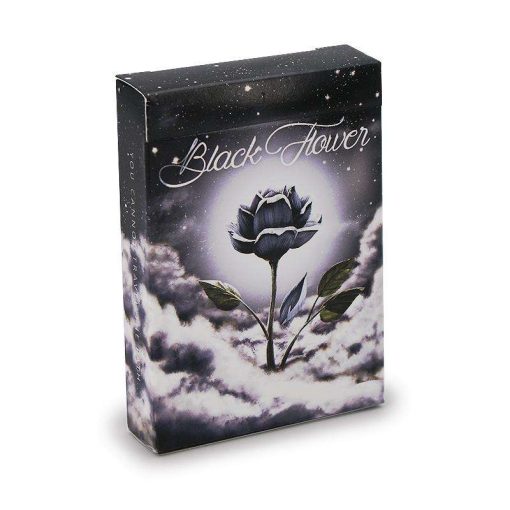 Black Flower by Jack Nobile