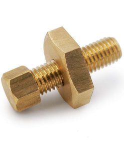 Spirit Nut - Jumbo