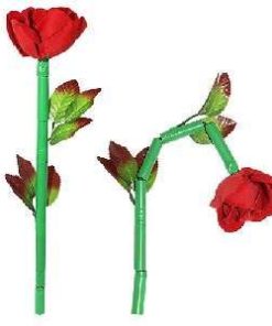 Break-Away Rose