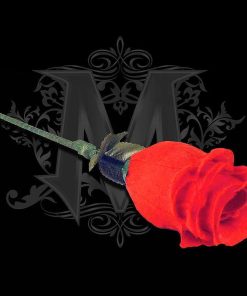 The Rose by Bond Lee & Wenzi Magic