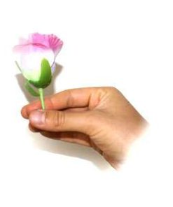 Roses from nothing