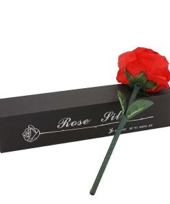 Rose Silk Change by JL