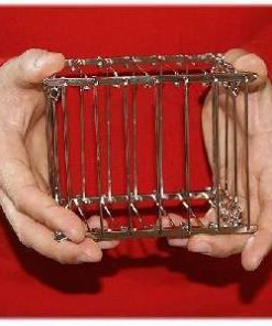 Vanishing Bird Cage