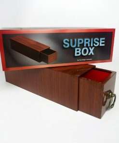 Surprise Box